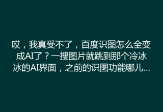 哎，我真受不了，百度识图怎么全变成AI了？一搜图片就跳到那个冷冰冰的AI界面，之前的识图功能哪儿去了？