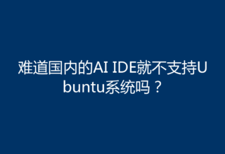难道国内的AI IDE就不支持Ubuntu系统吗？