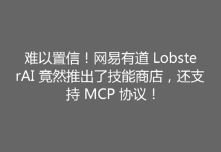 难以置信！网易有道 LobsterAI 竟然推出了技能商店，还支持 MCP 协议！