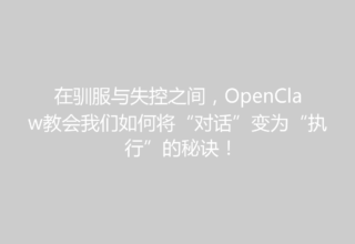 在驯服与失控之间，OpenClaw教会我们如何将“对话”变为“执行”的秘诀！