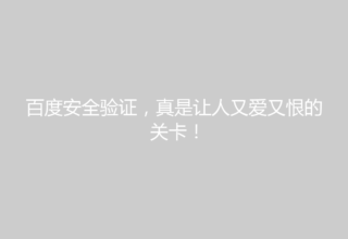 百度安全验证，真是让人又爱又恨的关卡！