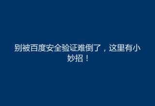 别被百度安全验证难倒了，这里有小妙招！